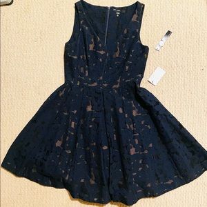 Maggy London Navy lace A-Line Midi